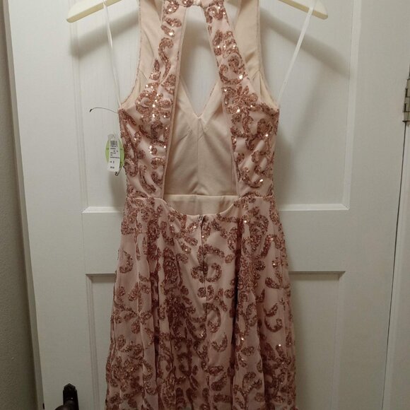 Champagne Pink Sequined Formal Dress NWT - Picture 2 of 6